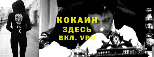 стаф Белокуриха