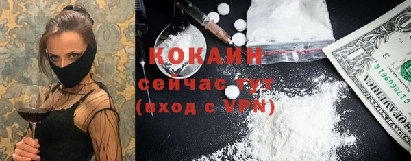 стаф Белокуриха